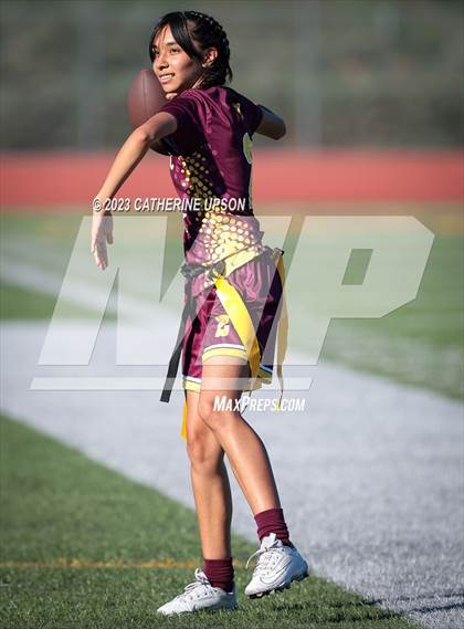 Thumbnail 1 in Ramona @ Arlington photogallery.