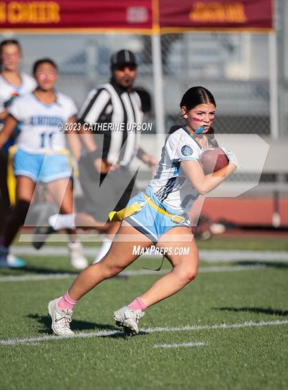 Thumbnail 2 in Ramona @ Arlington photogallery.