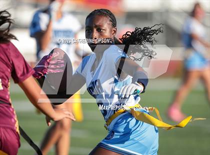 Thumbnail 2 in Ramona @ Arlington photogallery.