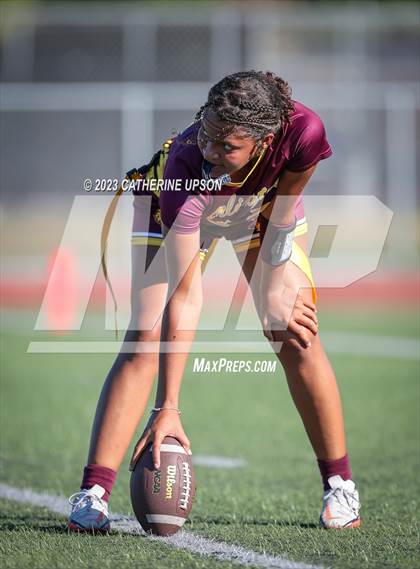 Thumbnail 1 in Ramona @ Arlington photogallery.