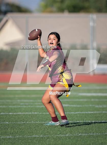 Thumbnail 2 in Ramona @ Arlington photogallery.