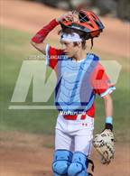 Photo from the gallery "Charlotte Catholic @ Providence"