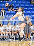 Photo from the gallery "Harlan @ O'Connor"