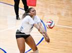Photo from the gallery "Harlan @ O'Connor"