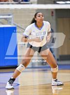 Photo from the gallery "Harlan @ O'Connor"