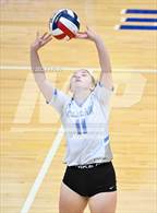 Photo from the gallery "Harlan @ O'Connor"