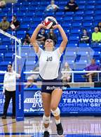 Photo from the gallery "Harlan @ O'Connor"