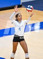 Photo from the gallery "Harlan @ O'Connor"