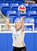 Photo from the gallery "Harlan @ O'Connor"