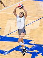 Photo from the gallery "Harlan @ O'Connor"