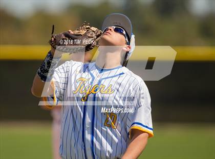 Thumbnail 1 in Reed vs. Newberg photogallery.
