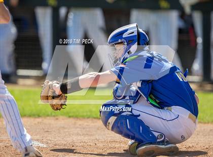 Thumbnail 2 in Reed vs. Newberg photogallery.