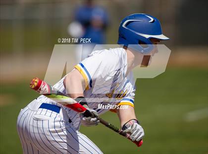Thumbnail 3 in Reed vs. Newberg photogallery.