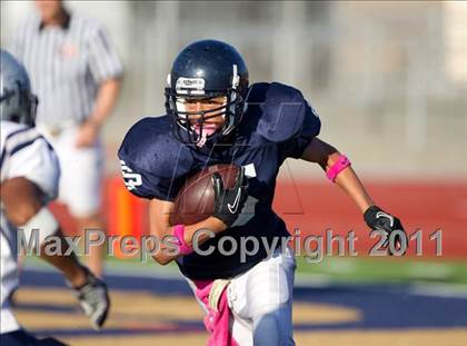 Thumbnail 1 in North @ El Segundo photogallery.