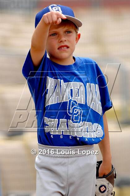 Thumbnail 2 in Charter Oak vs. Santa Monica (CIF SS DIV 4 Final) photogallery.