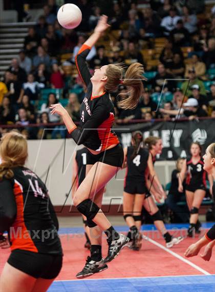 Thumbnail 2 in Cheyenne Mountain vs. Lewis-Palmer (CHSAA 4A Final) photogallery.