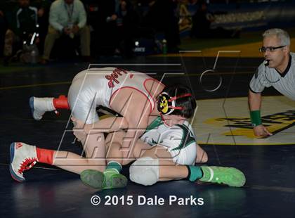 Thumbnail 1 in NYSPHSAA Wrestling Championships (Division 2 Finals) photogallery.