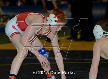 Thumbnail 1 in NYSPHSAA Wrestling Championships (Division 2 Finals) photogallery.