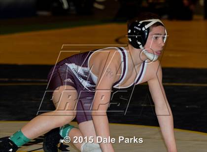 Thumbnail 2 in NYSPHSAA Wrestling Championships (Division 2 Finals) photogallery.