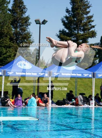 Thumbnail 1 in Diving CIF NCS Final (Castro Valley) photogallery.