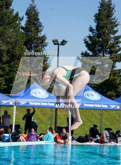 Thumbnail 1 in Diving CIF NCS Final (Castro Valley) photogallery.