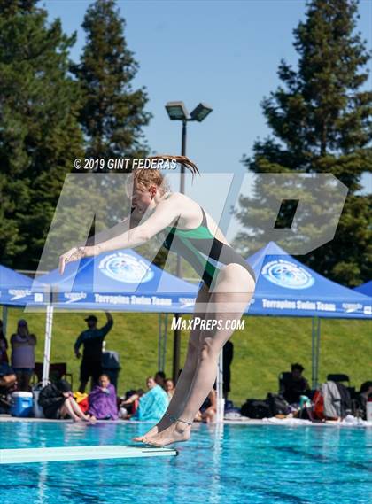 Thumbnail 3 in Diving CIF NCS Final (Castro Valley) photogallery.