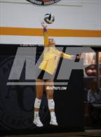 Photo from the gallery "Bloom-Carroll @ Amanda-Clearcreek"