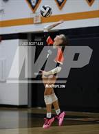 Photo from the gallery "Bloom-Carroll @ Amanda-Clearcreek"