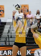Photo from the gallery "Bloom-Carroll @ Amanda-Clearcreek"