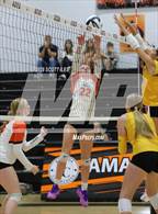 Photo from the gallery "Bloom-Carroll @ Amanda-Clearcreek"