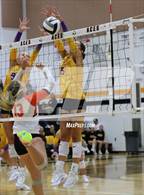 Photo from the gallery "Bloom-Carroll @ Amanda-Clearcreek"