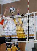 Photo from the gallery "Bloom-Carroll @ Amanda-Clearcreek"