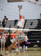 Photo from the gallery "Bloom-Carroll @ Amanda-Clearcreek"