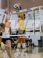 Photo from the gallery "Bloom-Carroll @ Amanda-Clearcreek"