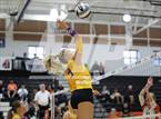 Photo from the gallery "Bloom-Carroll @ Amanda-Clearcreek"
