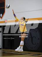 Photo from the gallery "Bloom-Carroll @ Amanda-Clearcreek"