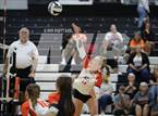 Photo from the gallery "Bloom-Carroll @ Amanda-Clearcreek"