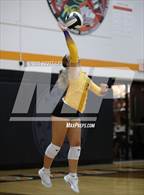 Photo from the gallery "Bloom-Carroll @ Amanda-Clearcreek"