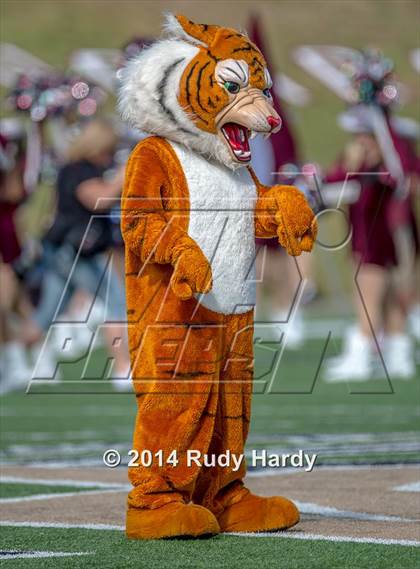 Thumbnail 1 in Katy @ Cinco Ranch photogallery.
