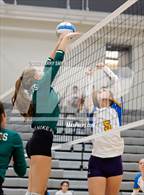 Photo from the gallery "Highland @ Timnath"