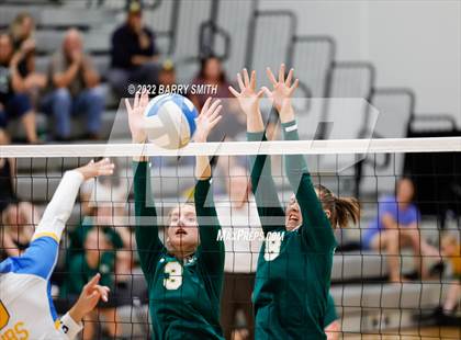 Thumbnail 3 in Highland @ Timnath photogallery.