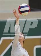Photo from the gallery "Yorktown @ Langley"