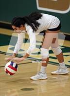 Photo from the gallery "Yorktown @ Langley"