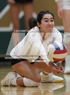 Photo from the gallery "Yorktown @ Langley"