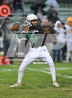 Photo from the gallery "Williams @ Biggs"