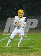 Photo from the gallery "Williams @ Biggs"