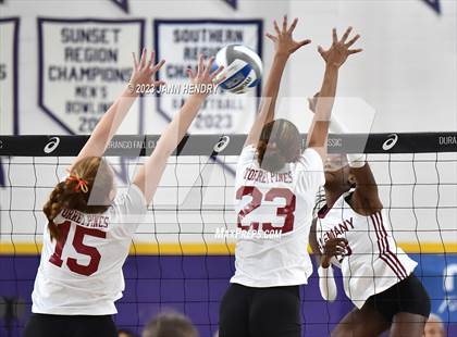 Thumbnail 1 in Alemany vs Torrey Pines (Durango Fall Classic) photogallery.