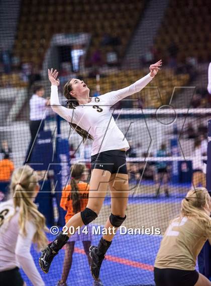 Thumbnail 3 in Montrose vs. Battle Mountain (CHSAA 4A Playoff) photogallery.