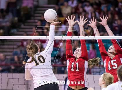 Thumbnail 3 in Montrose vs. Battle Mountain (CHSAA 4A Playoff) photogallery.