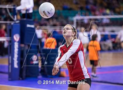 Thumbnail 2 in Montrose vs. Battle Mountain (CHSAA 4A Playoff) photogallery.